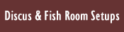 Discus & Fishroom Setups